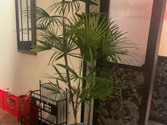 -鑫花溪牛肉米粉(凤凰街创始总店)