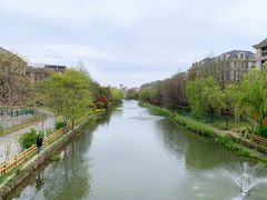 -新江湾城公园
