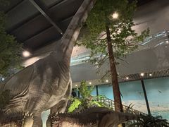 -湖南省地质博物馆