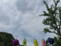 -菊园百果园