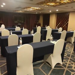 -天府阳光酒店·宴会厅