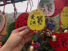-西双版纳原始森林公园