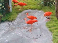 -武汉动物园