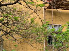 -普陀山慧济禅寺