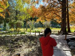 -国家植物园南园