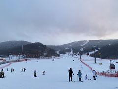 -中旅松花湖滑雪场