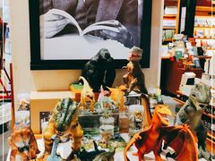 -西西弗书店&矢量咖啡(来福士广场店)