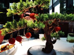 -陶苏·品味融合川菜(龙湖源著天街店)