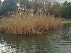 -美兰湖景区