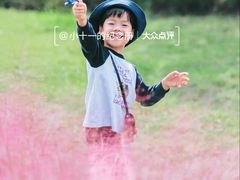 -九里湖国家湿地公园