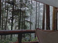 -重庆睡佛山森林公园