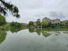 -长广溪湿地公园