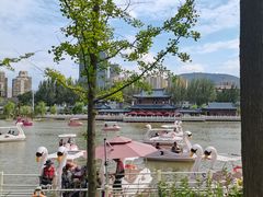 -雁滩公园