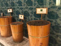 -上海龙之梦万丽酒店