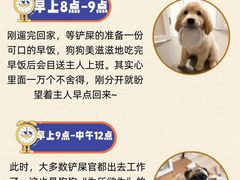 -爱侣宠医·鹦鹉专科·小型哺乳类·异宠专科(灵石路店)