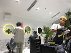 -大象造型