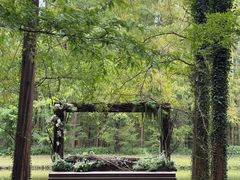 -黄海国家森林公园