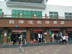 -白洋淀景区