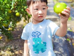-前小桔亲子创意农场·草莓采摘·露营烧烤