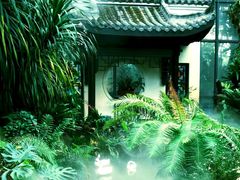 -东莞植物园