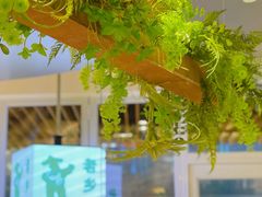 -老乡鸡(上海白玉兰广场店)