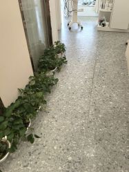 -S&G Beauty轻奢皮肤管理中心