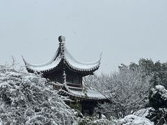 -八大山人梅湖景区