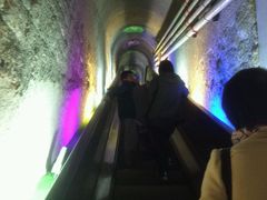 -青岛葡萄酒博物馆