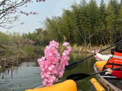 -梁鸿国家湿地公园