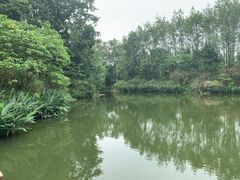 -桤木河湿地公园