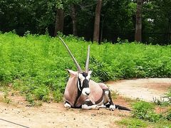 -大连森林动物园