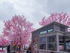 -首开·龙湖成都西宸天街