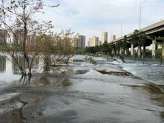 -永定河休闲森林公园