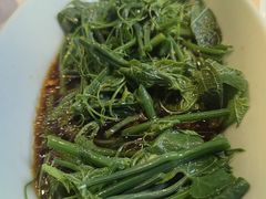 油淋丝瓜尖-盛百味·家宴餐厅(霸州分店)