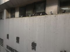 -清真惠记