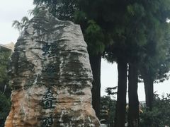 -昆明动物园