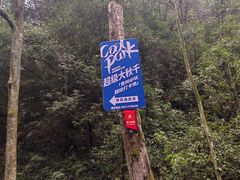 -贵阳猴耳天坑·极限酷玩公园