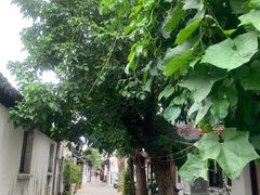 -暮晚尘香汉服旗袍