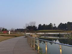 -天府芙蓉园