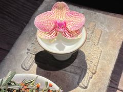 -菩提书坊(侨福大厦店)