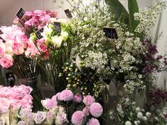 -植物学家的女儿(北马道巷店)