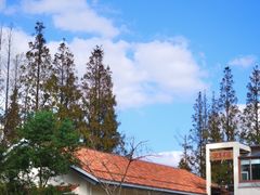 -前小桔亲子创意农场·草莓采摘·露营烧烤