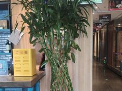 -大鸭梨烤鸭(顺义石园店)