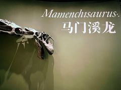 -遇见博物馆(遇见海洋沉浸式奇幻光影展)