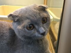 -乐宠宠物店(世纪金源店)