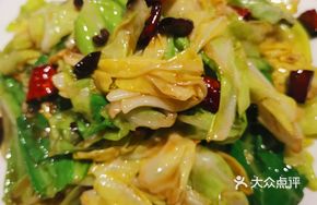 Oyster Cabbage