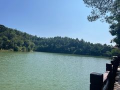 -广州白江湖森林公园