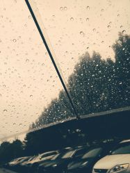 -彩虹之门健康管理