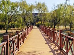 -华东政法大学(松江校区)