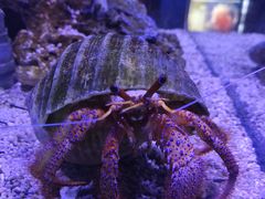 -太平洋海底世界